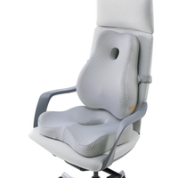 Lumbar Back Cushion Seat Support Set - Light Grey